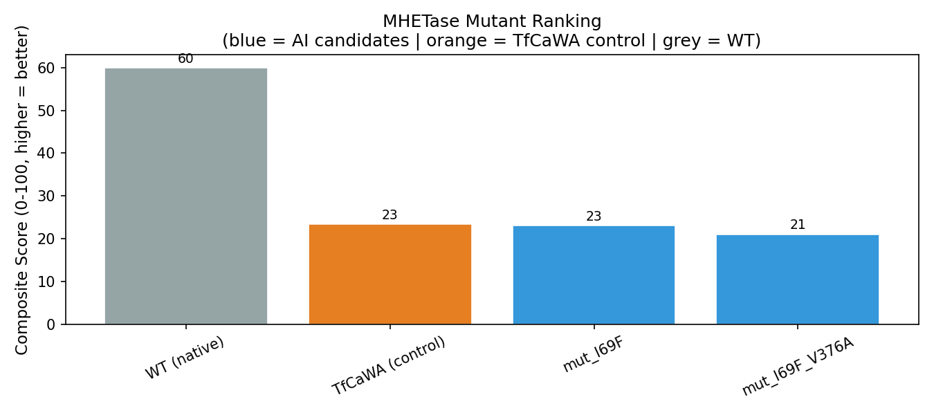 Bar chart comparing composite scores of the MHETase mutant candidates